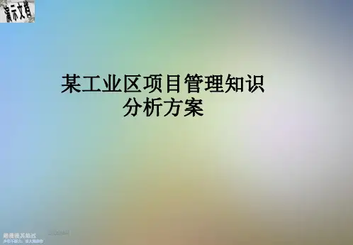 某工业区项目管理知识分析方案