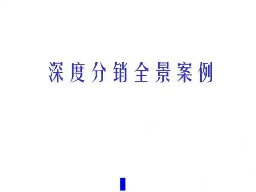 深度分销经典案例