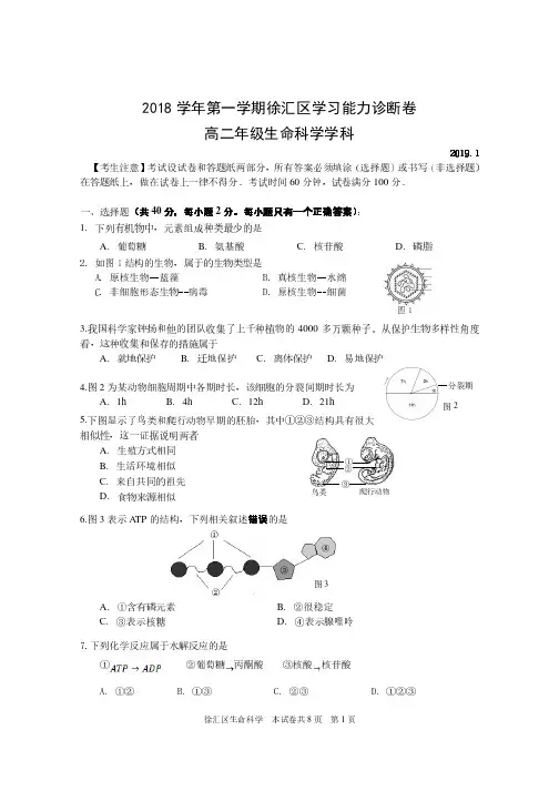 2018 学年第一学期徐汇区学习能力诊断卷 高二年级生命科学学科