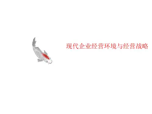 现代企业经营讲义环境与经营战略