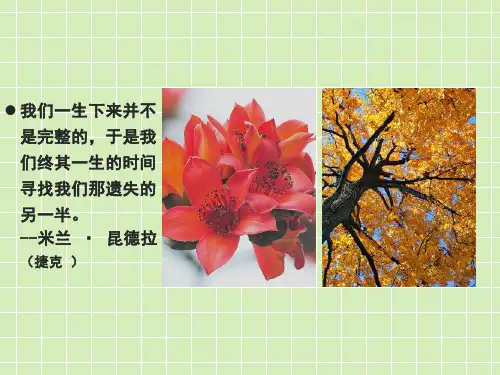 《致橡树》