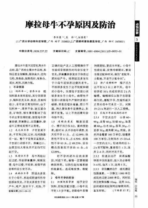 摩拉母牛不孕原因及防治