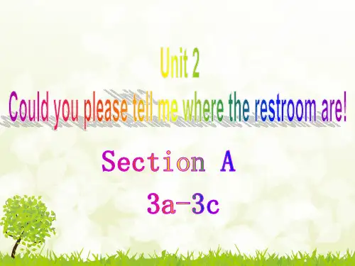人教英语九年级全册Unit3Section A 3a —3c(共22张PPT)