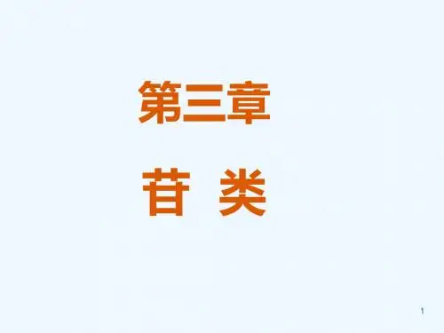 苷的结构和分类