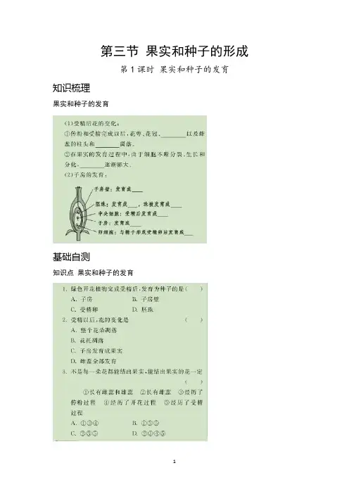 济南版八年级生物上册第一章绿色开花植物的一生第三节果实和种子的形成梳理 练习(图片版,含两课时 答案)