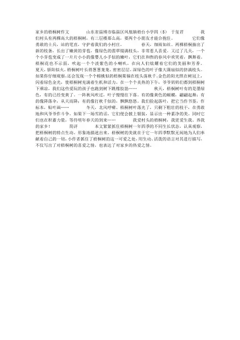 家乡的梧桐树作文