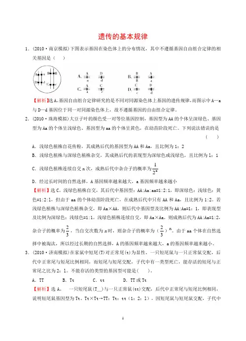遗传的基本规律
