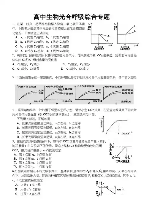 高中生物专题复习—光合作用和呼吸作用专题