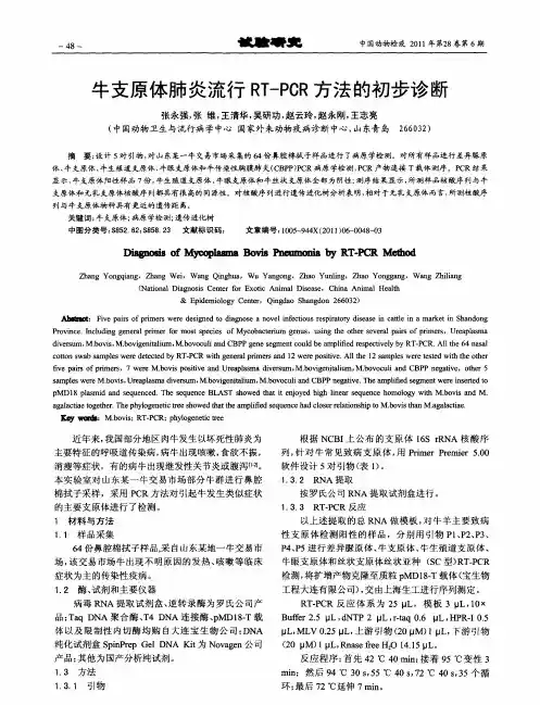 牛支原体肺炎流行RT-PCR方法的初步诊断