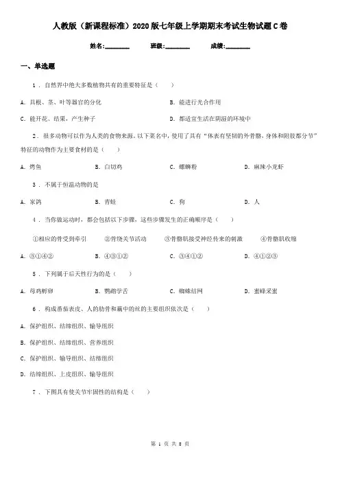 人教版(新课程标准)2020版七年级上学期期末考试生物试题C卷