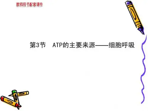 呼吸作用 生物必1