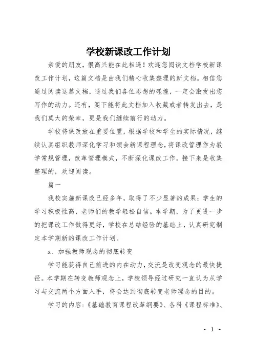 学校新课改工作计划