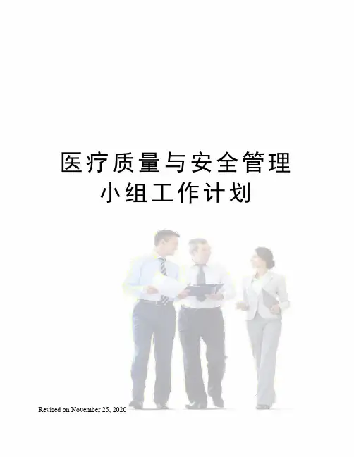 医疗质量与安全管理小组工作计划 2