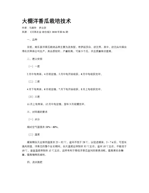 大棚洋香瓜栽培技术
