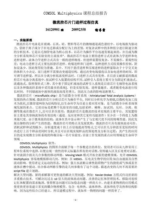 微流控芯片门进样过程仿真