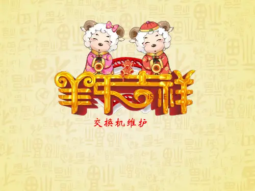 交换机维护与故障排除