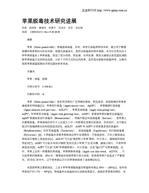 苹果脱毒技术研究进展