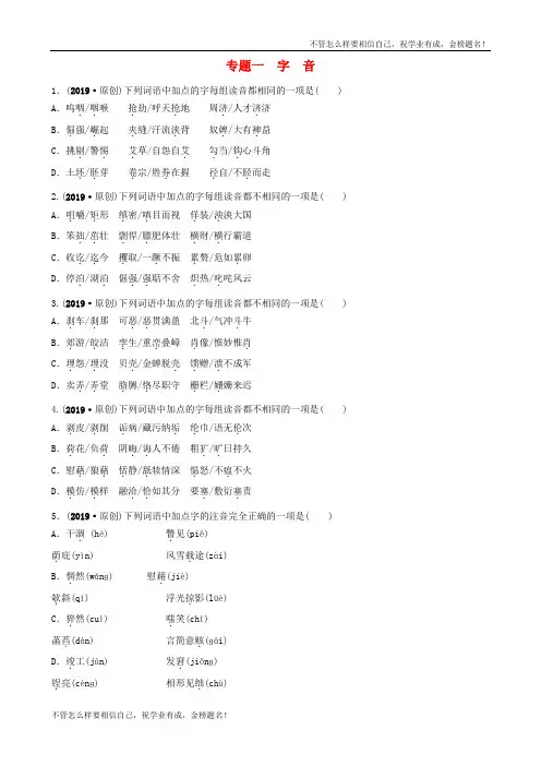 山东省临沂市中考语文专题复习一字音练习