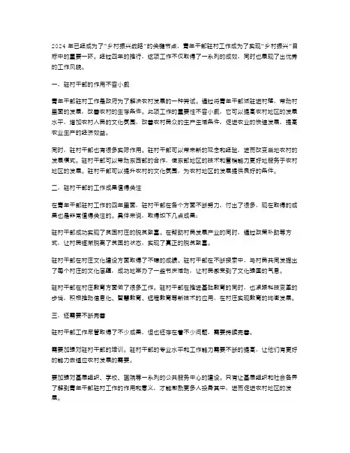 2024年青年干部驻村工作总结范文