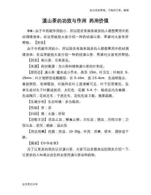 滇山茶的功效与作用 药用价值