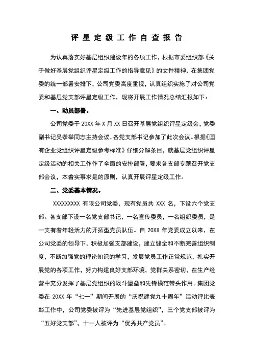 评星定级自查报告 3