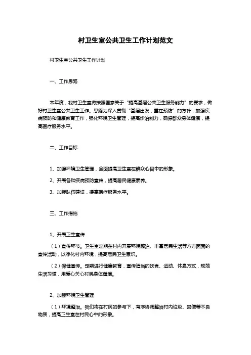 村卫生室公共卫生工作计划范文