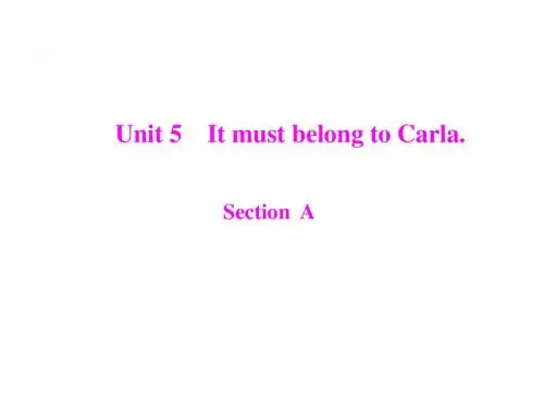 九年级英语It-must-belong-to-Carla课件1(201908)