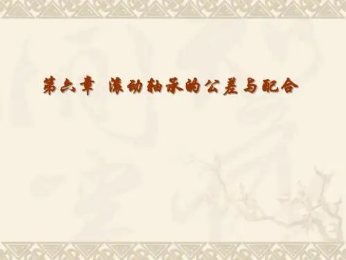 第六章 滚动轴承的公差与配合