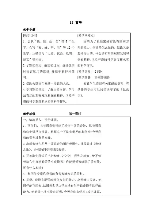 部编版三年级语文下册14 蜜蜂