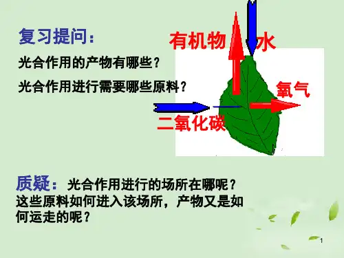 光合作用的场所(课堂PPT)
