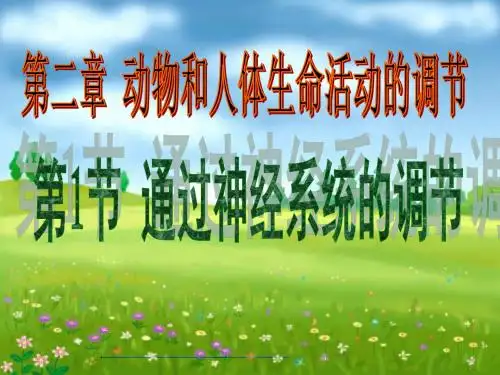 人教版生物必修三通过神经系统的调节ppt
