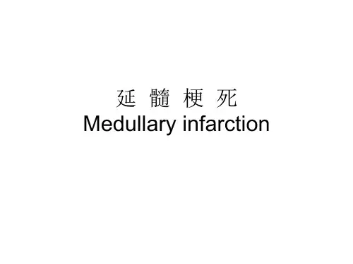 延髓梗死 百度文库版本