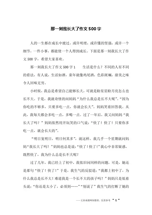 那一刻我长大了作文500字