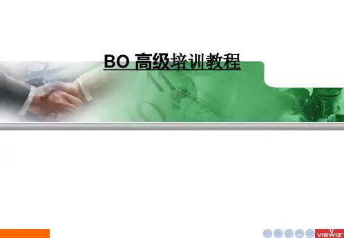 BO高级培训.pptx