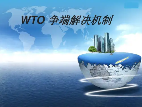 WTO争端解决机制最终版2