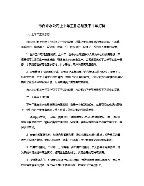 市自来水公司上半年工作总结及下半年打算