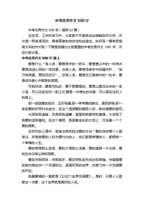 中考优秀作文500字