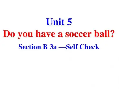 人教版七年级英语上册课件：Unit5 Do you have a socc