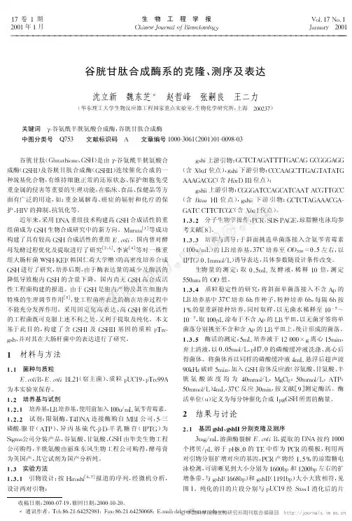 谷胱甘肽合成酶系的克隆、测序及表达