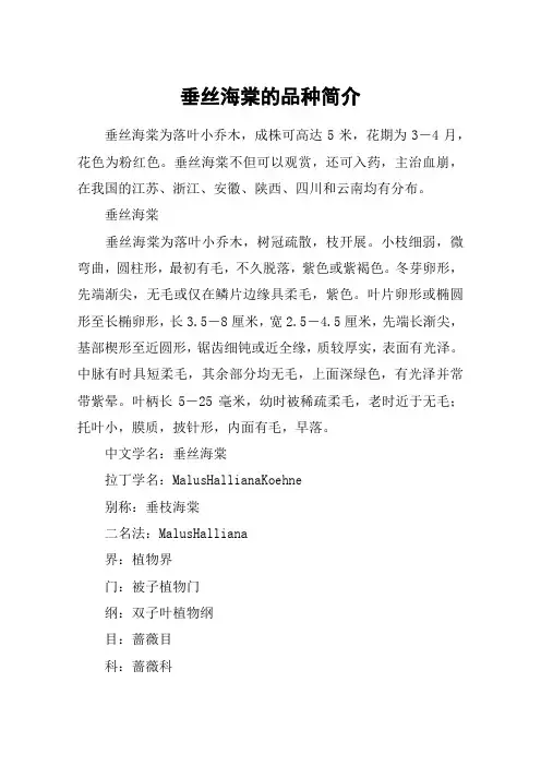 垂丝海棠的品种简介