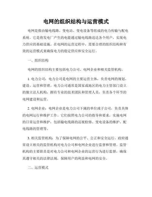 电网的组织结构与运营模式