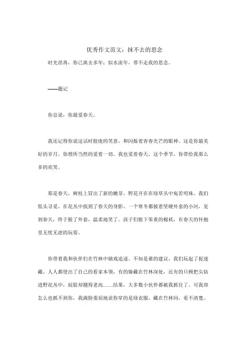 以流淌在心灵间的乐曲或抹不去的思念为主题的作文-优秀作文范例