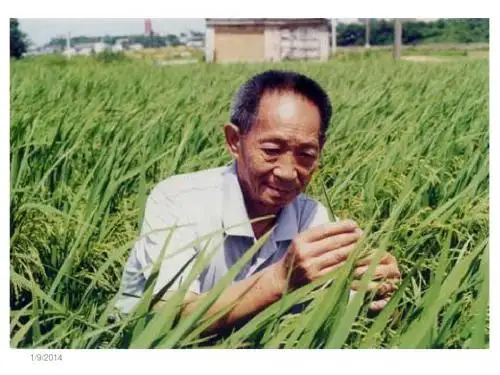 1.2 孟德尔豌豆杂交实验(二)
