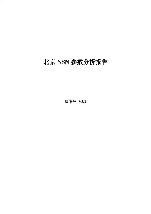 NSN参数分析报告V3.1.3