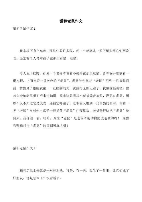 猫和老鼠作文