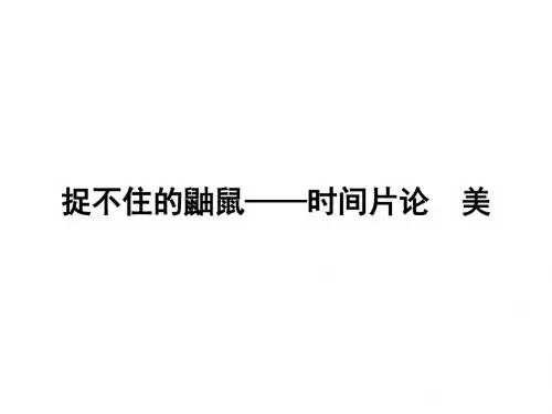 捉不住的鼬鼠——时间片论美PPT