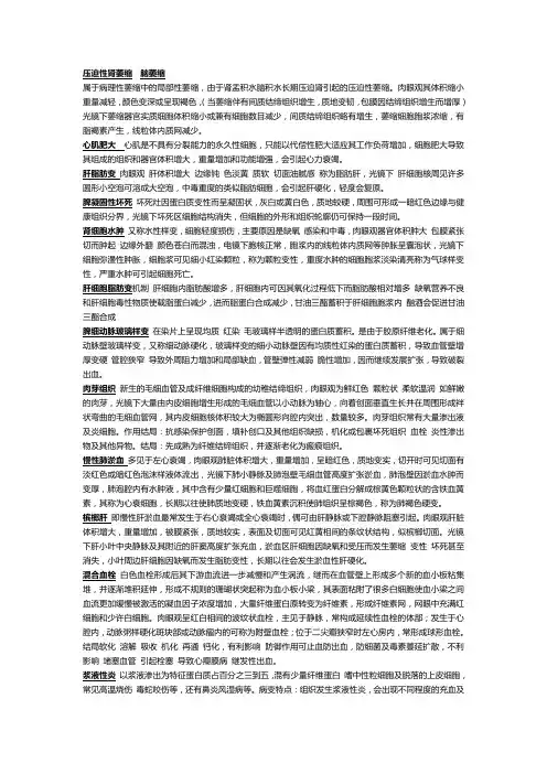 病理实验重点
