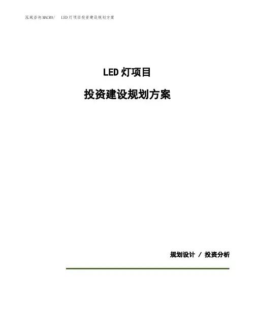 LED灯项目投资建设规划方案(模板)