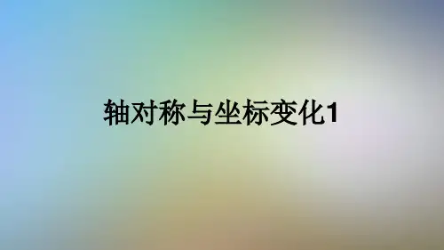轴对称与坐标变化1