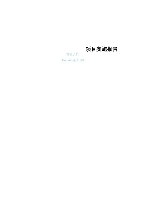 项目实施报告-模板